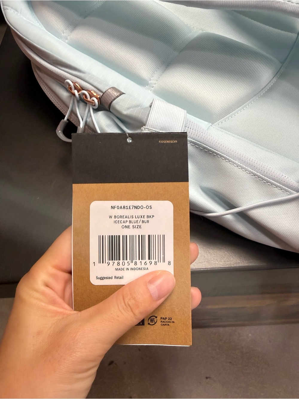 NWT!The North Face women's Pale Blue Everyday Pack with External Bungee - Picture 5 of 10